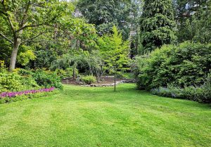 Optimiser l'expérience du jardin à Longchamp-sous-Chatenois