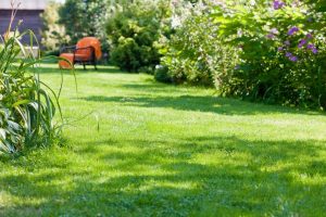 travaux jardin et paysage Longchamp-sous-Chatenois